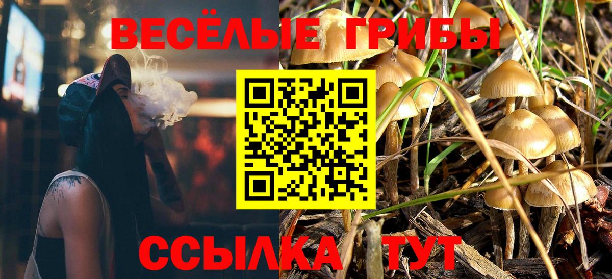 Псилоцибиновые грибы мухоморы Кудрово